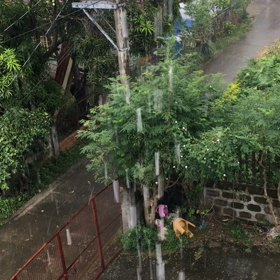 雨だーーーinフィリピンの画像