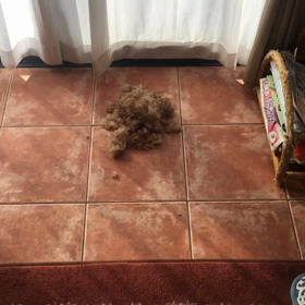 9gagのばくりですごめんなさいの画像