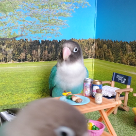 ジュラミルとBBQ気分での画像