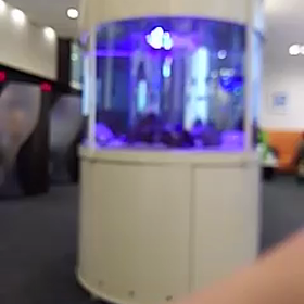 a6かりんとうの画像