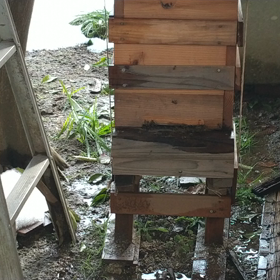 蜂の時騒ぎの画像