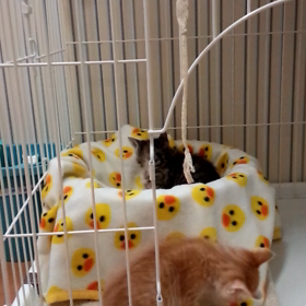 ３日目朝。の画像