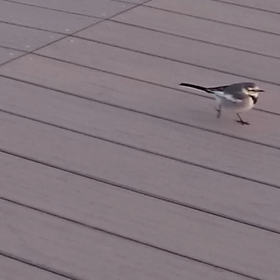 名古屋3days遠征③番外編の画像