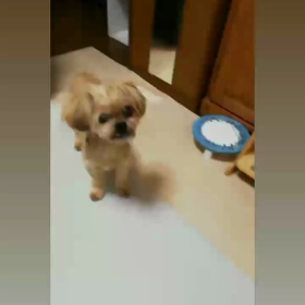 あ〜ん♬の画像