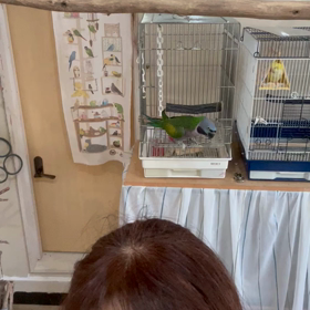 いつかこの子にも。の画像