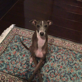 お見送りの画像