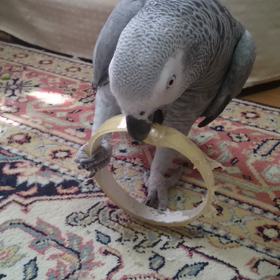 寝坊しちゃったよσ(￣∇￣;)の画像