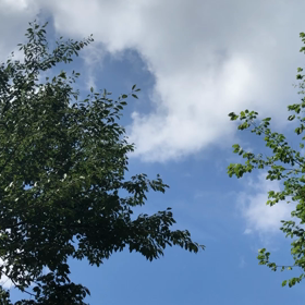 UFO撮影行ってきた。の画像