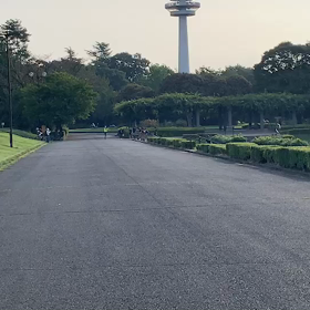 女子選考会ゴール付近④の画像