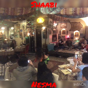 トランジショー御礼 動画の画像