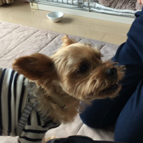 わがままな奴❕の画像