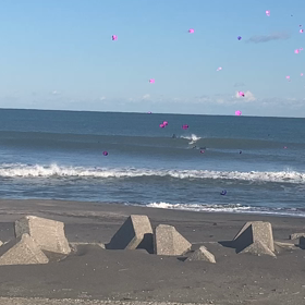 メリーサーフィンの画像