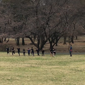 芝生坂ダッシュ(Bグループ)⑤の画像