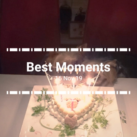 ６歳("⌒∇⌒")の画像