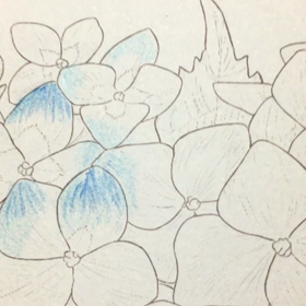 あじさい通りの画像