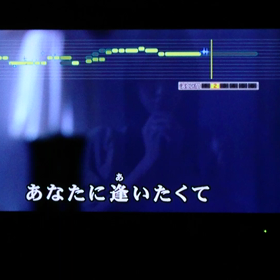 ヒトカラの画像