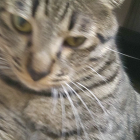 めちゃぐるぐる聞こえる～( ≧∀≦)ノの画像