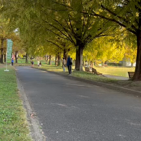 県駅伝男子選考会④の画像