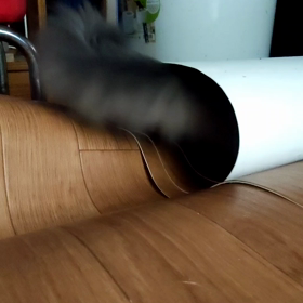 にゃんこわんぱくの画像