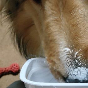 バカで、ごめんね〜の画像