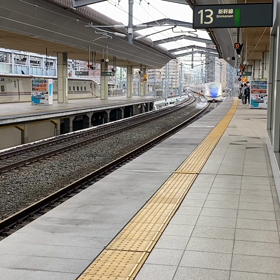 お久し振りの画像