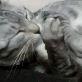 ちゃんと洗えたのかは謎の画像