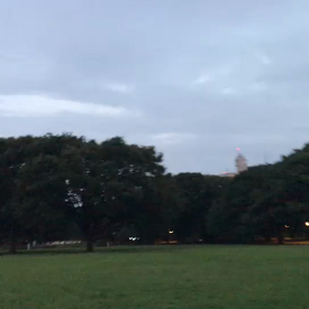 ♪お散歩動画♪代々木公園♪の画像