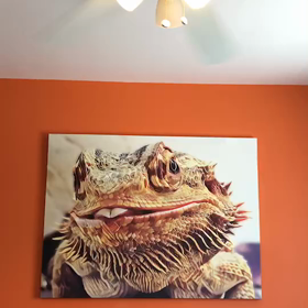 【動画】部屋の中に部屋？？の画像