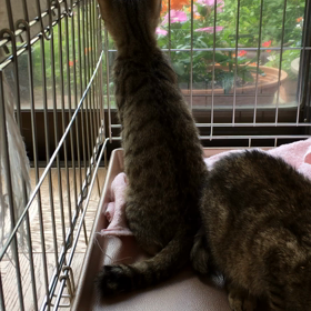 今日は。。。の画像