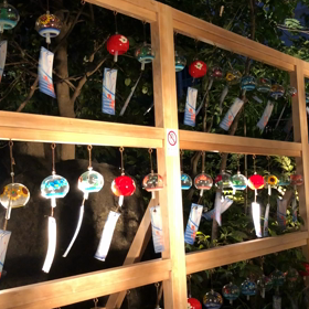 【2019/08/08】ＯＫが出た奇跡の日(・ω・)の画像