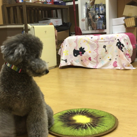 マットに行く方法は何でもよし。の画像