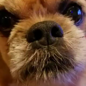 ぼっち一言の画像