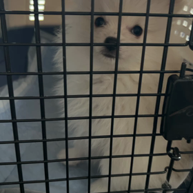 掃除機が苦手の画像