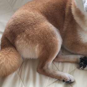 体調不良の画像