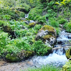 金沢百景❗医王山の画像