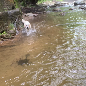 雨だけど…の画像