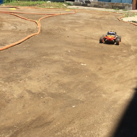 ビートル！ビートル！の画像