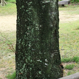 みんないいねえ〜〜！の画像