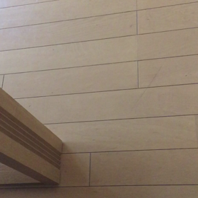 うちのカワイ子ちゃんの画像