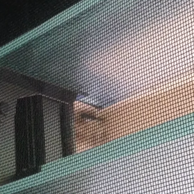 2021つばめの観察日記18日目の画像