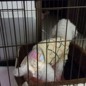 2018年3月16日の動画　その2の画像