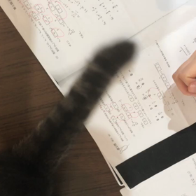 受験生の敵の画像