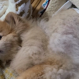 怖かったの画像