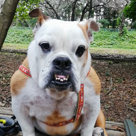 相思相愛♥の画像