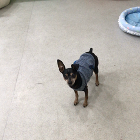 ♪プレイルーム動画♪の画像