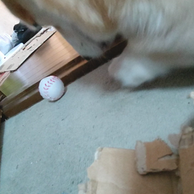 掘るよね～の画像