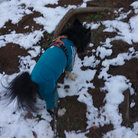 まだ！楽しい✨⤴️の画像