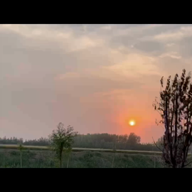 この記事の画像