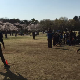 学年別インターバル(ゴール付近)⑫の画像