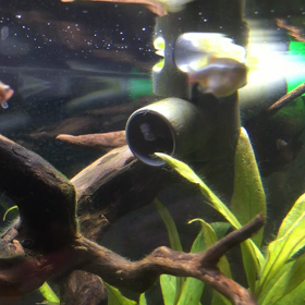 何やってんの〜？パート2の画像